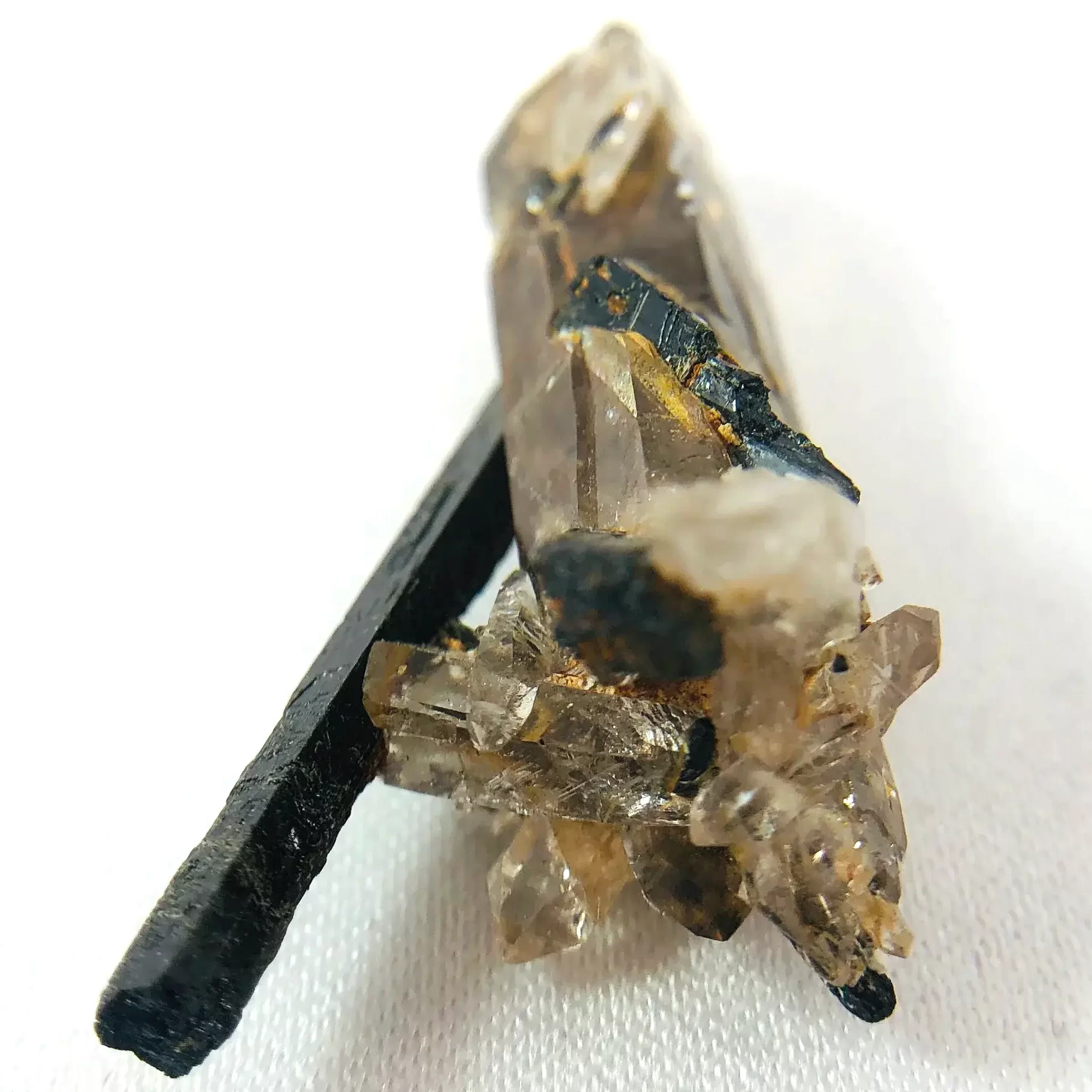 aegirn e1700053462896 Sarkaç Adam