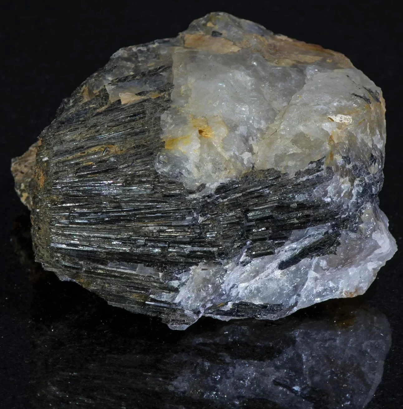 aegirne e1700053498589 Sarkaç Adam