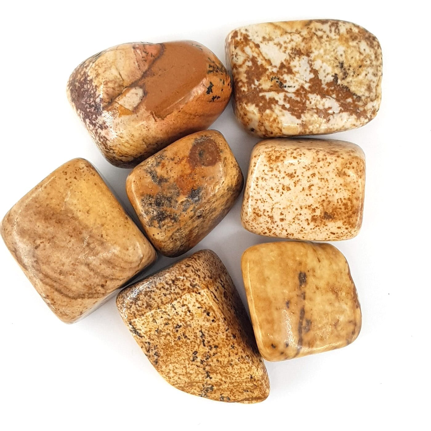 doagl tas timbil 20 2 scaled Sarkaç Adam