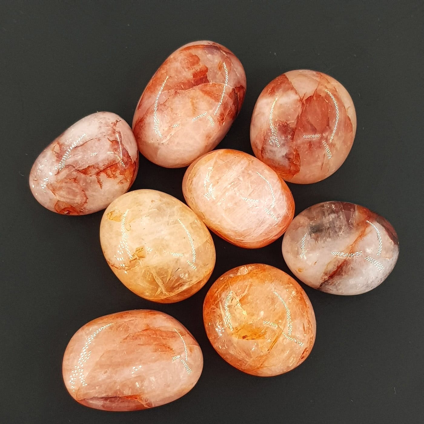 doagl tas timbil 21 2 scaled Sarkaç Adam