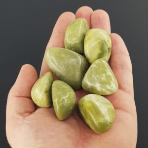 Alternative view of Yeşim Tımbıl