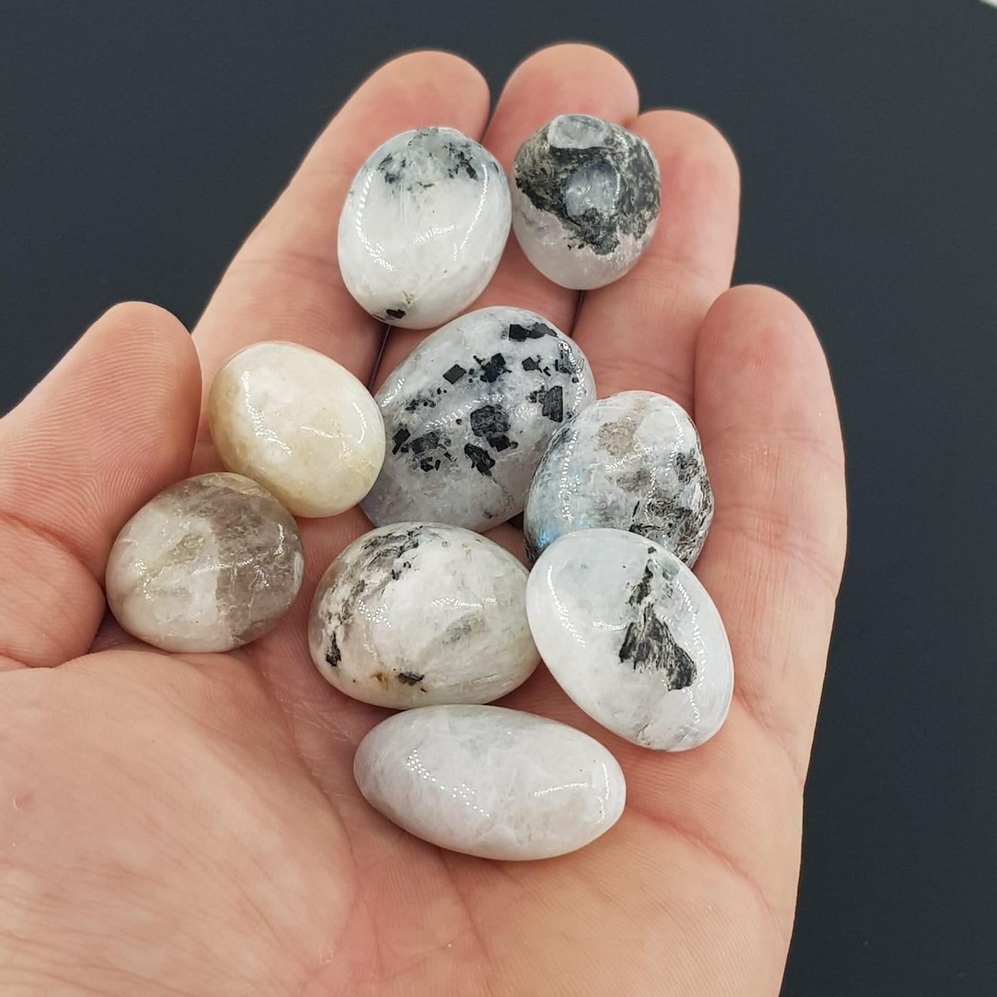 Aytaşı Tımbıl - Görsel 2