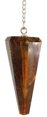 kaplangozu sarkac 1 e1710192946648 Sarkaç Adam