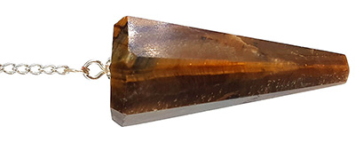 kaplangozu sarkac 1 Sarkaç Adam