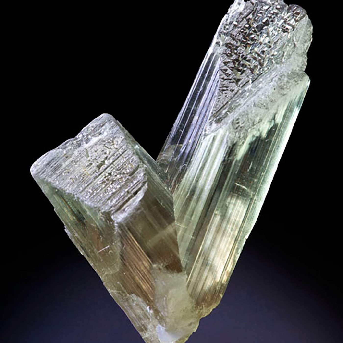 orijinal diaspor3 Sarkaç Adam