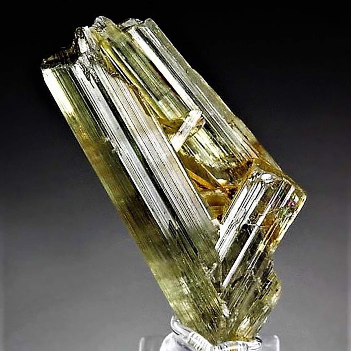 orijinal diaspor4 Sarkaç Adam