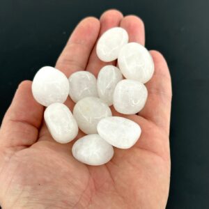 Süt Kuvars Tımbıl - 2