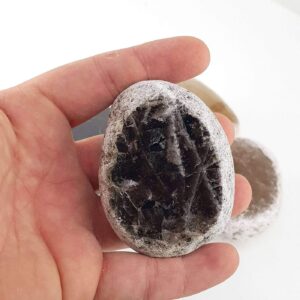 Dumanlı Kuvars Tambur - 2