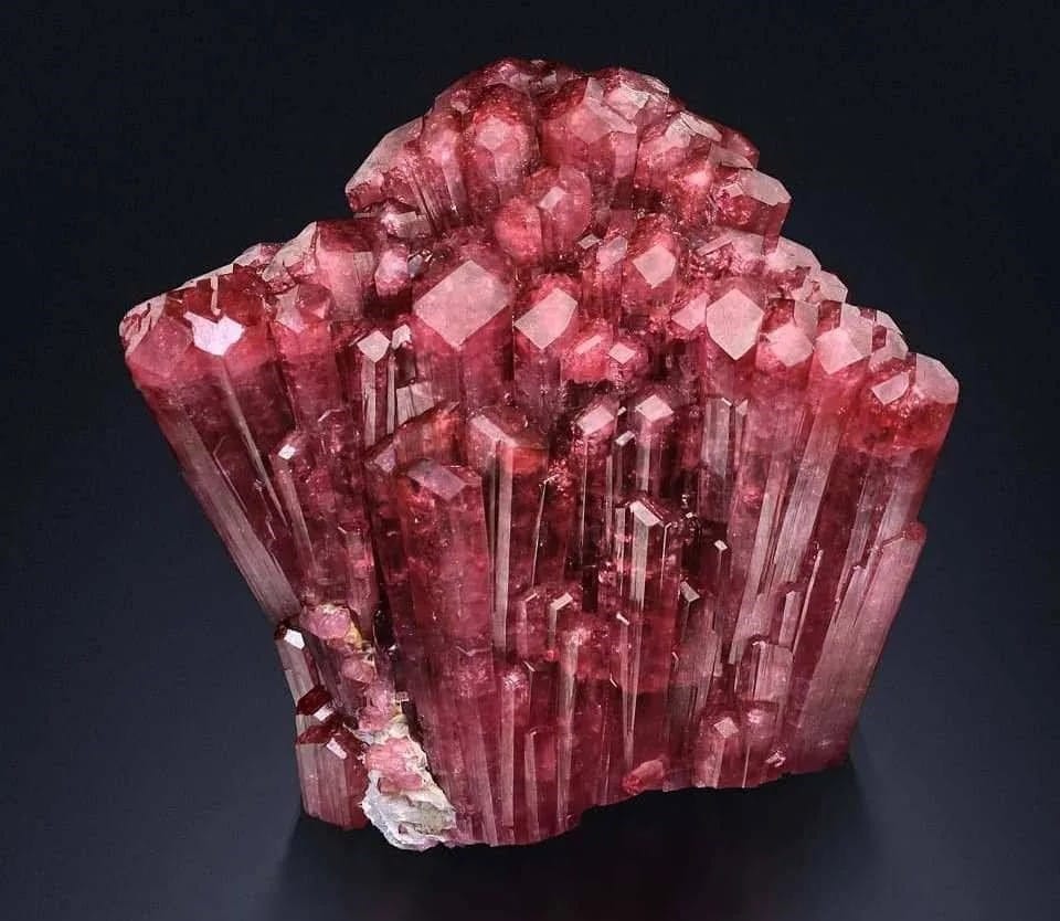 Rubellite Sarkaç Adam