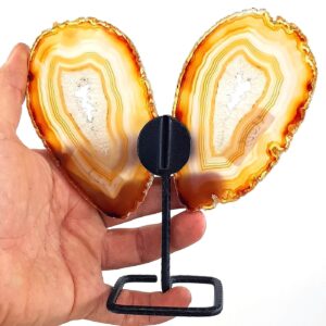 Kelebek Akik Standlı