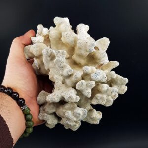 Mavi Mercan Ham Taş