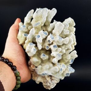 Mavi Mercan Ham Taş