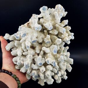 Mavi Mercan Ham Taş