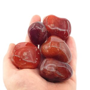 Karnelyan Akik Tambur - 2