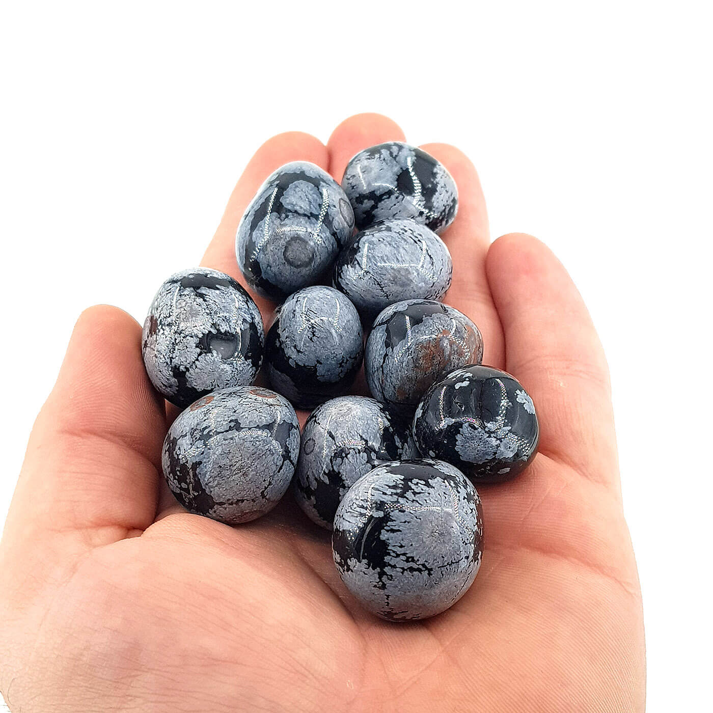 Kartanesi Obsidyen Tımbıl - Görsel 2