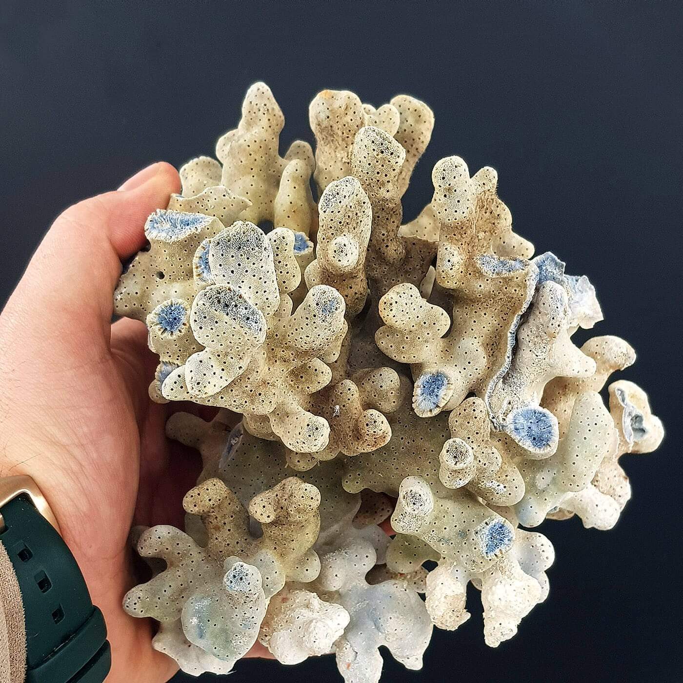 Mavi Mercan Ham Taş