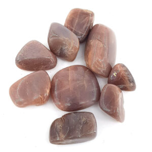 Güneştaşı Tımbıl Parlak