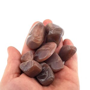 Güneştaşı Tımbıl Parlak - 2