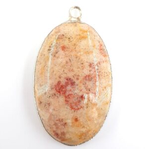 Fosil Mercan Kolye Ucu