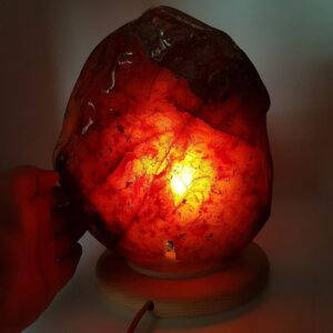 11149 1 Sarkaç Adam