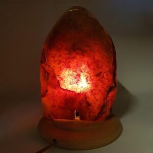 11150 1 Sarkaç Adam