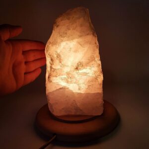 24747 2 Sarkaç Adam