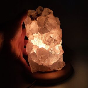 85698 10 Sarkaç Adam