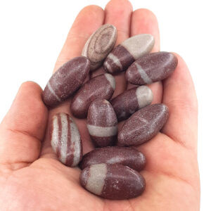 Shiva Lingam Tımbıl