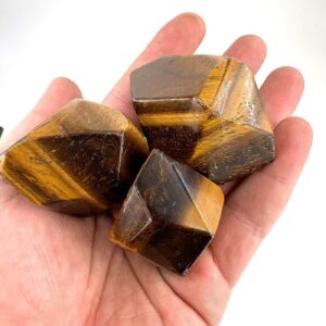 Kaplangözü Tambur - 2