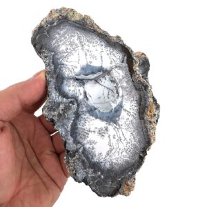 Dendiritli Opal İkiz Ham Taş - 5