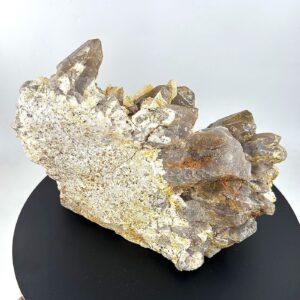 10555 3 Sarkaç Adam