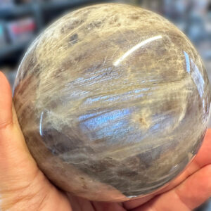 GUnestasi Kure3 Sarkaç Adam