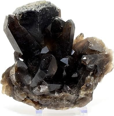 morion kuvarss Sarkaç Adam