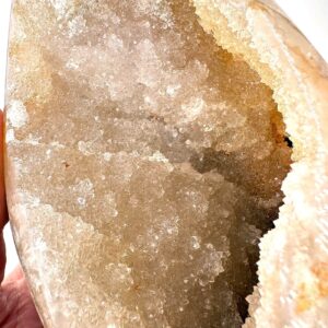 10671 3 Sarkaç Adam