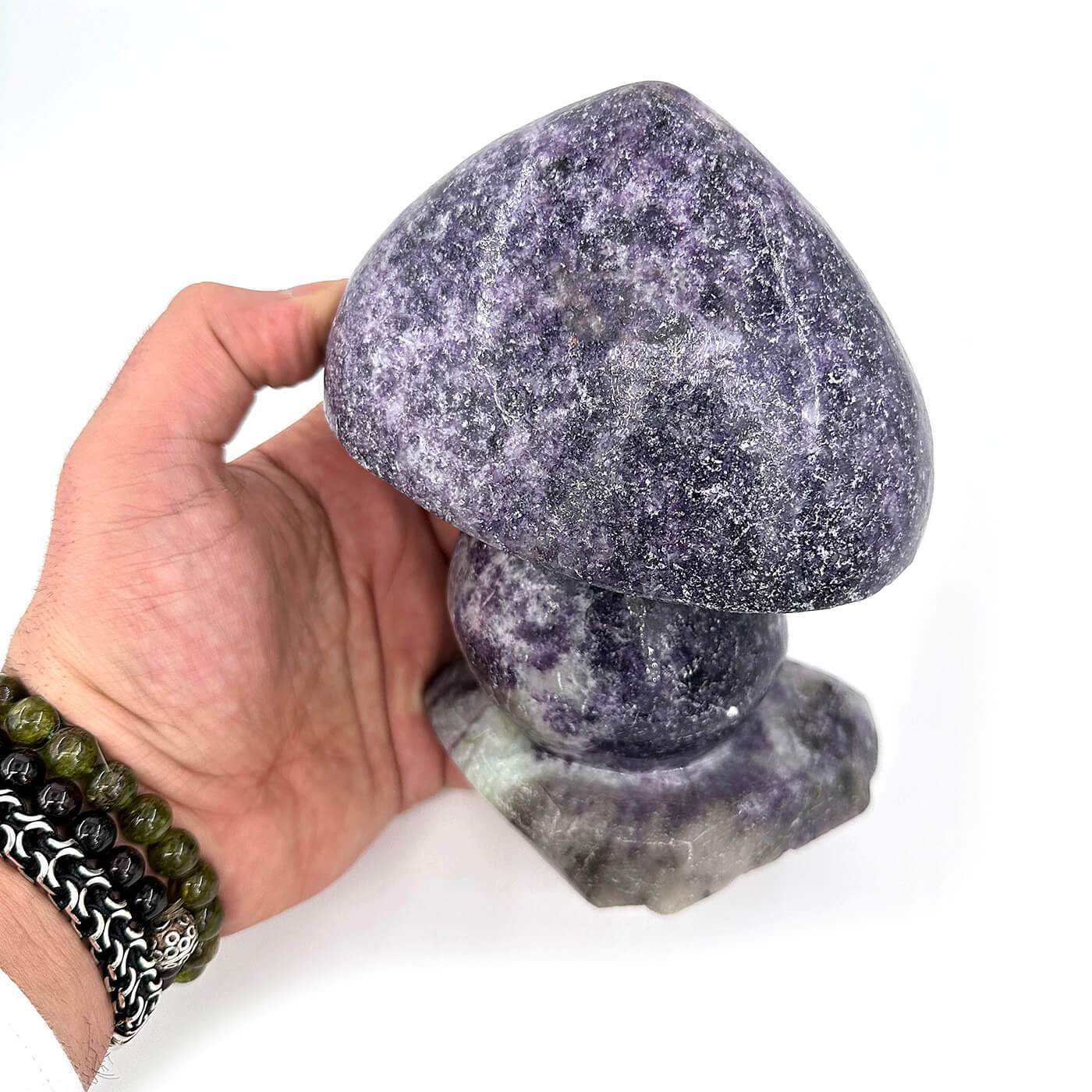 10681 1 Sarkaç Adam