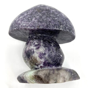 10681 2 Sarkaç Adam