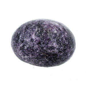 10681 4 Sarkaç Adam