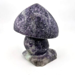 10681 5 Sarkaç Adam