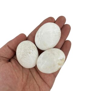 Skoleksit Spa Taşı S Boy