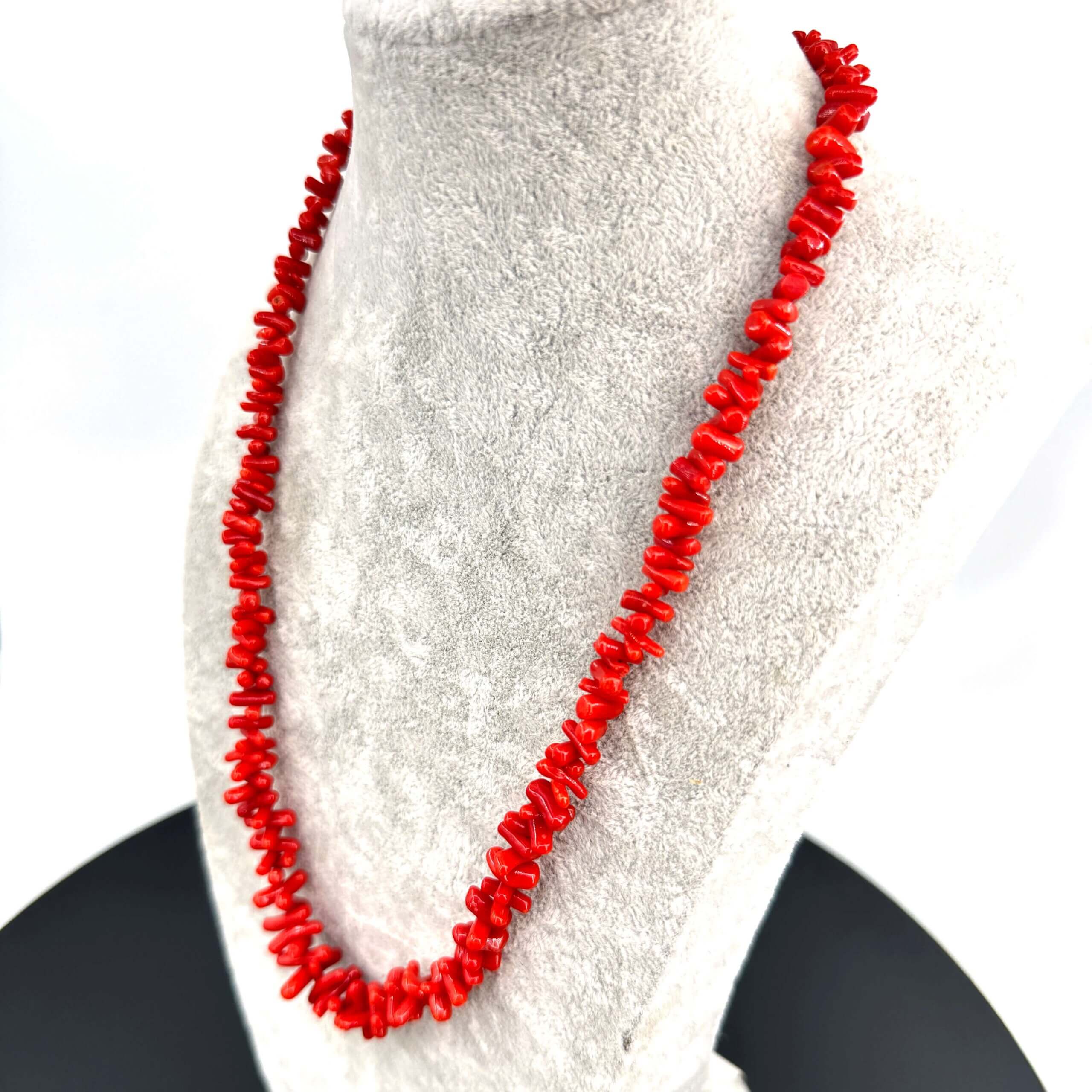 16110 Mercan Tunus scaled Sarkaç Adam