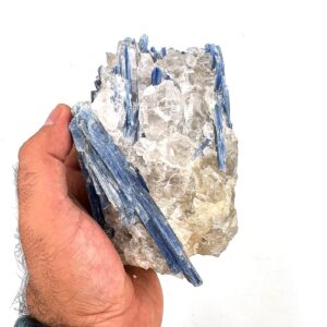 16188 3 Sarkaç Adam