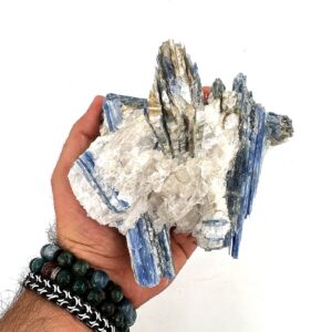 16188 4 Sarkaç Adam