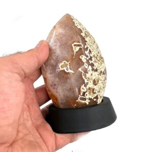 16246 2 Sarkaç Adam