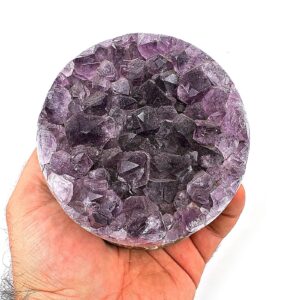 16255 2 Sarkaç Adam