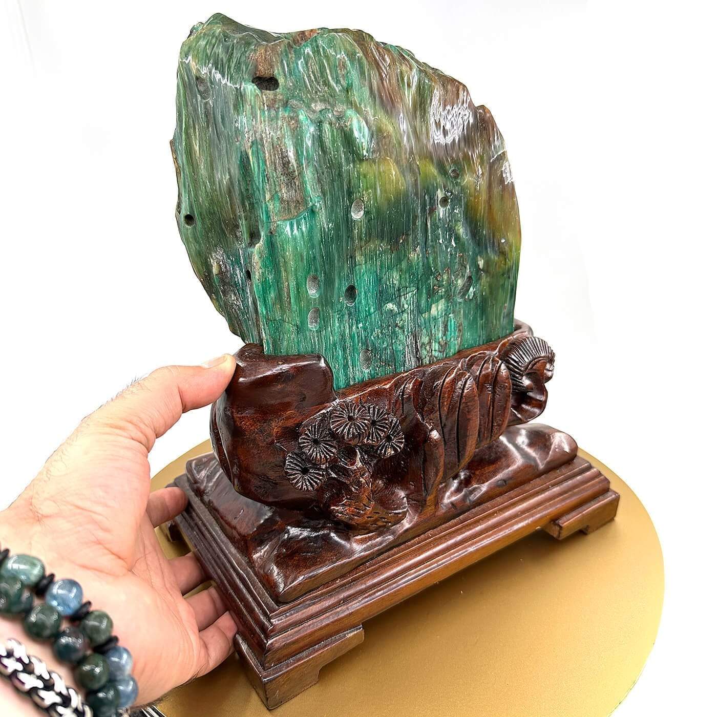 Ağaç Fosil Standlı