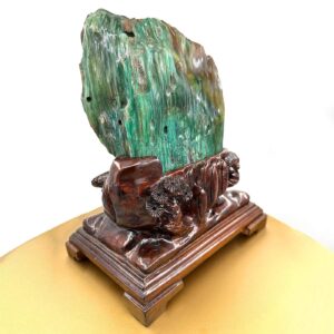 Alternative view of Ağaç Fosil Standlı