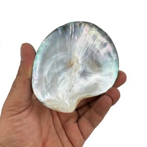 Alternative view of Sedef Kabuk Siyah