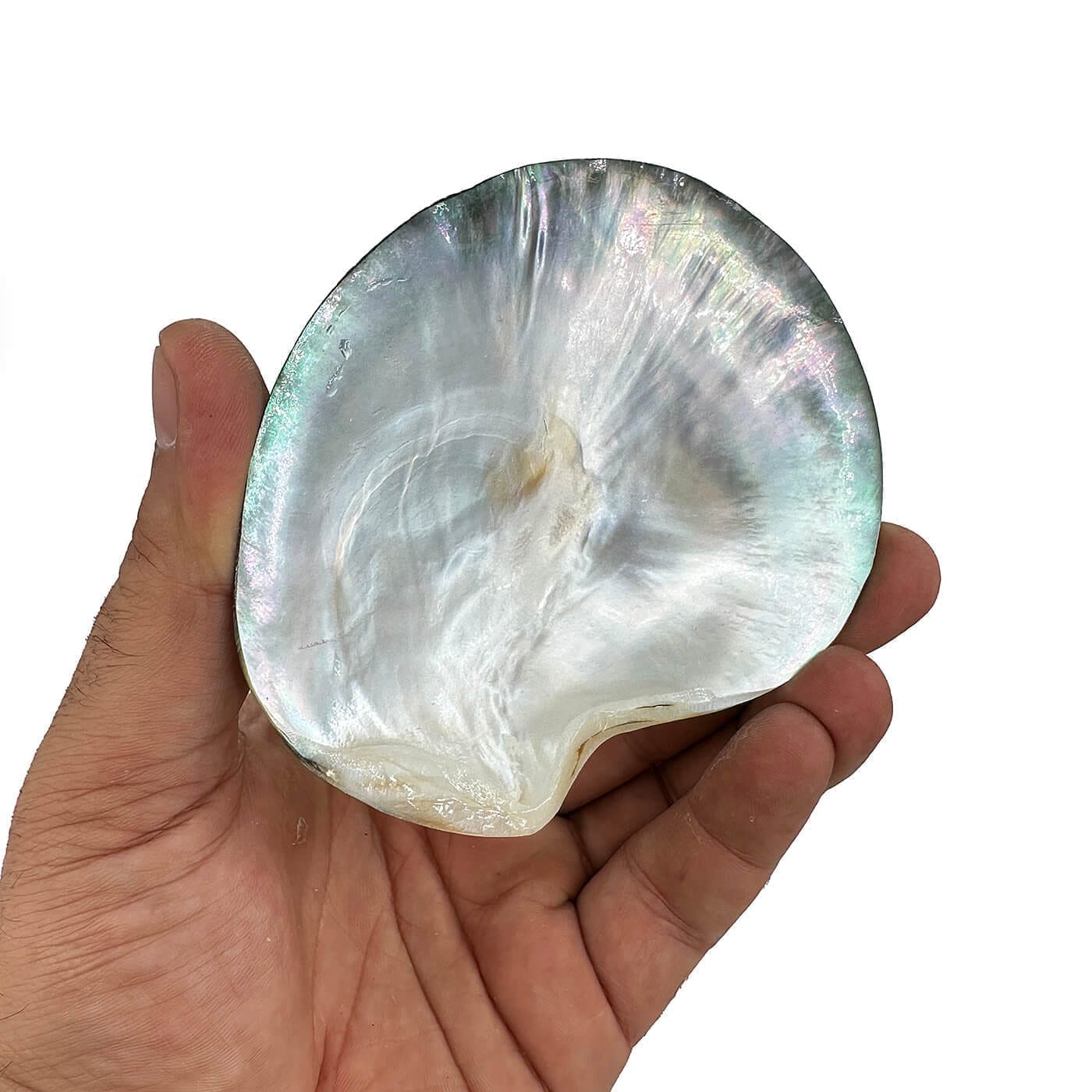 Sedef Kabuk Siyah - Görsel 2