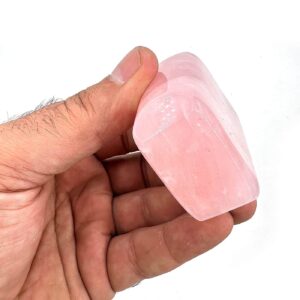 16264 2 Sarkaç Adam