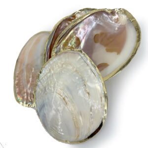 16308 3 Sarkaç Adam